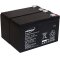 Powery Batera de GEL para SAI APC Smart-UPS 750 9Ah 12V