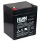 FIAMM Batera de Plomo, Recambio Compatible con COMPAQ R5500XR HPC-R5500XR AGM SAI de Emergencia