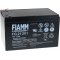 FIAMM Batera de Plomo FG21202 Vds