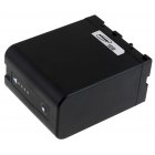 Batería para Sony Videocámara prof. Modelo BP-U30/ BP-U60