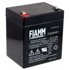 FIAMM Batera de Plomo, Recambio Compatible con COMPAQ R5500XR HPC-R5500XR AGM SAI de Emergencia