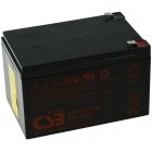CSB Bateras de plomo Standby adecuada para APC Smart UPS SU1000INET / SUA100012V 12Ah