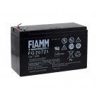 FIAMM Batería de Plomo FG20721 Vds