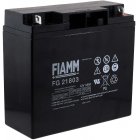 FIAMM Batería de Plomo FG21803