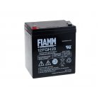 FIAMM Batera de Plomo FGH20502 12FGH23 (alta descarga -arranque)