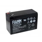 FIAMM Batería de Plomo FGH20902 12FGH36 (alta descarga -arranque)