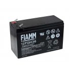 FIAMM Batera de Plomo FGH20902 12FGH36 (alta descarga -arranque)