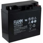 FIAMM Batera de Plomo FGH21803 12FGH65 (alta descarga -arranque)